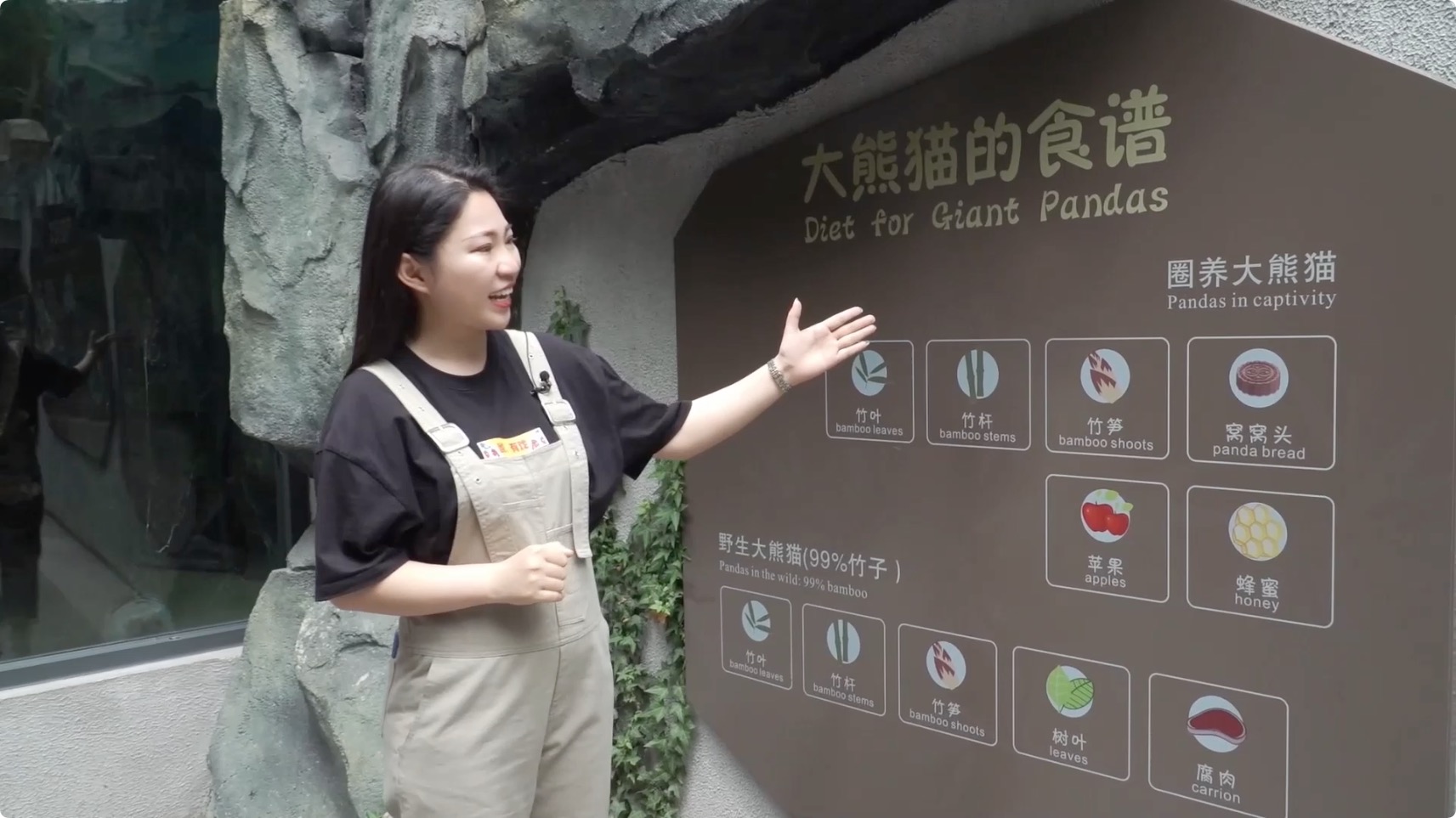 圖片6：熊貓吃什么？.jpeg